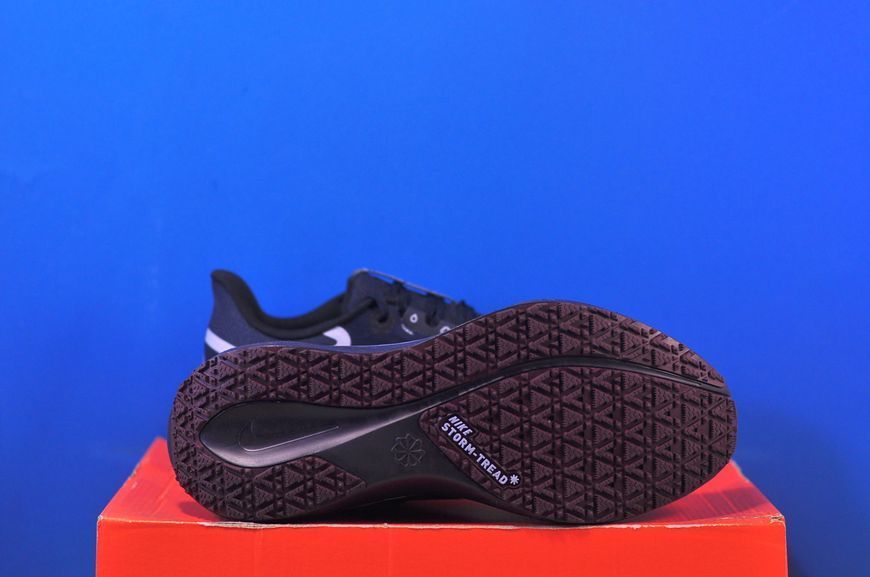 Кросівки Nike Pegasus 41 Gore Tex FQ1357-401 FQ1357-401 фото