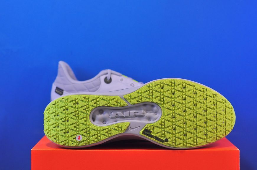 Кросівки Nike Winflo 11 Gore-Tex FQ1358-005 FQ1358-005 фото