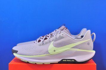 Кросівки Nike Pegasus Trail 5 DV3864-004 DV3864-004 фото