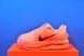Кросівки Nike Pegasus Premium HQ2593-802 HQ2593-802 фото 1