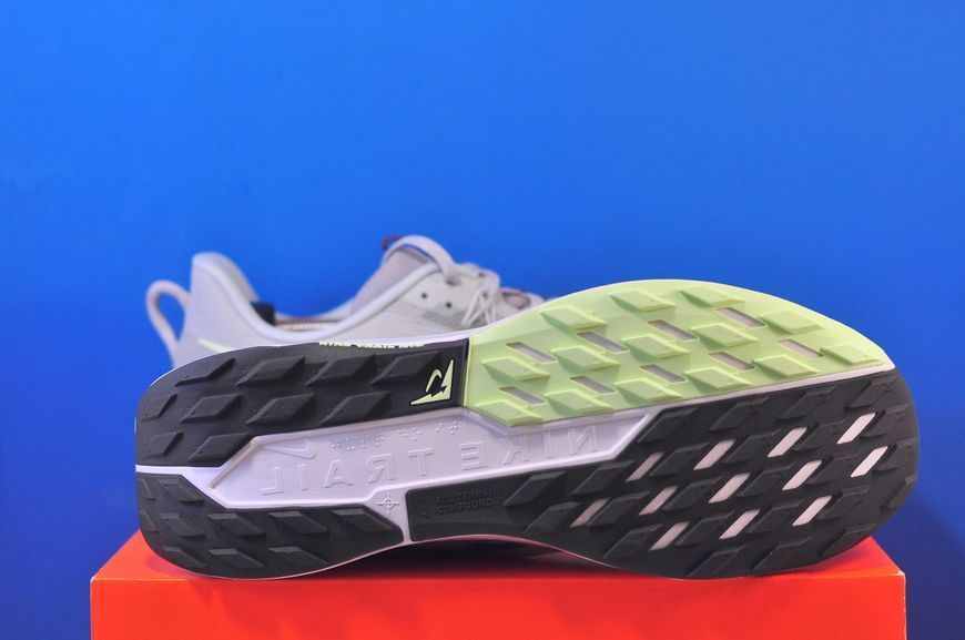 Кросівки Nike Pegasus Trail 5 DV3864-004 DV3864-004 фото