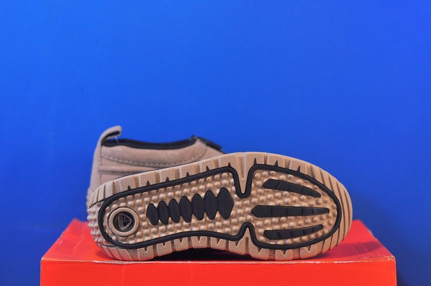 Кросівки Nike ACG Izy FV4317-200 FV4317-200 фото