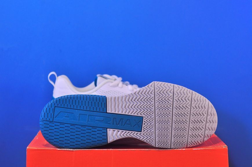 Кросівки Nike Alpha Trainer 6 FQ1833-106 FQ1833-106 фото