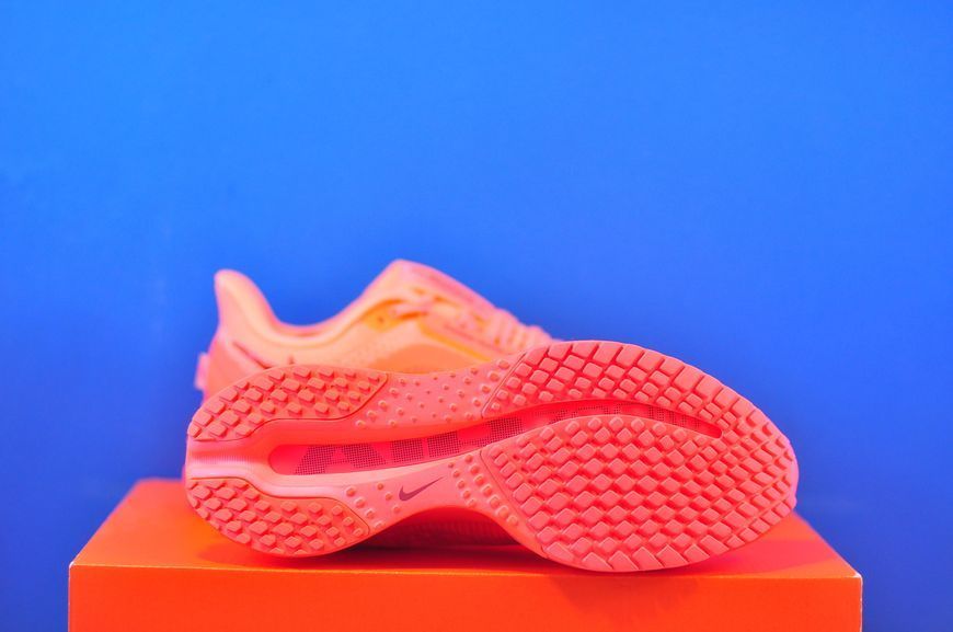Кросівки Nike Pegasus Premium HQ2593-802 HQ2593-802 фото