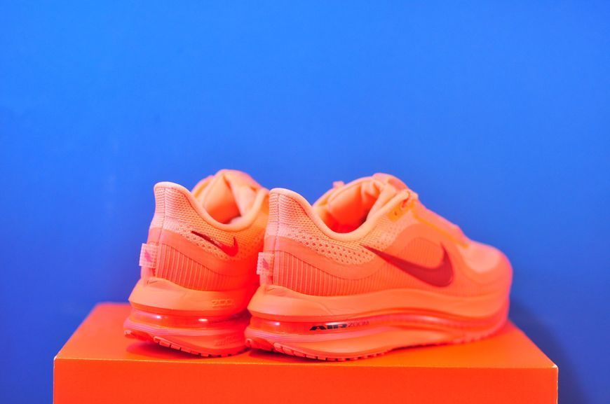 Кросівки Nike Pegasus Premium HQ2593-802 HQ2593-802 фото