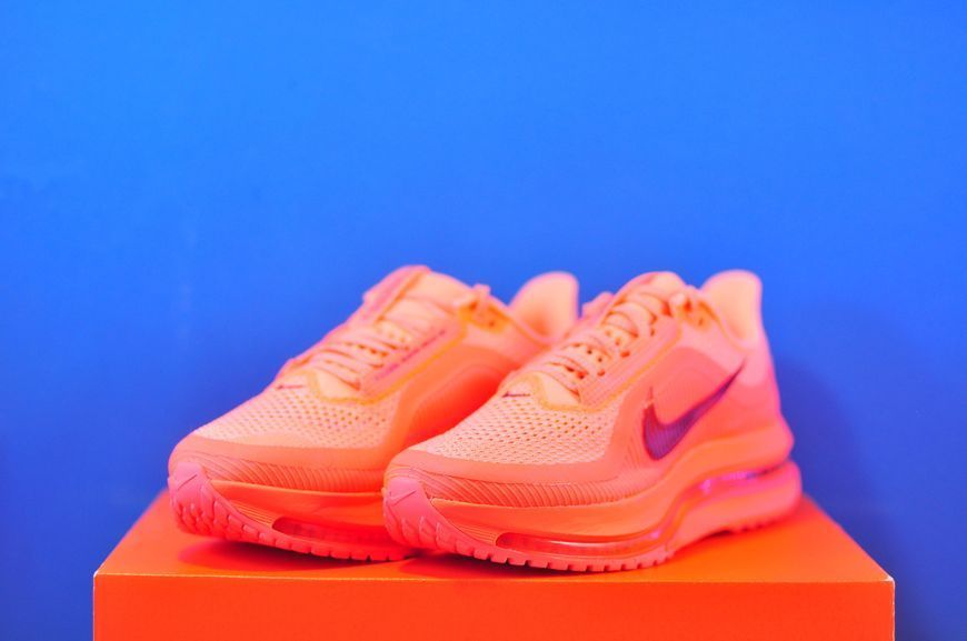 Кросівки Nike Pegasus Premium HQ2593-802 HQ2593-802 фото