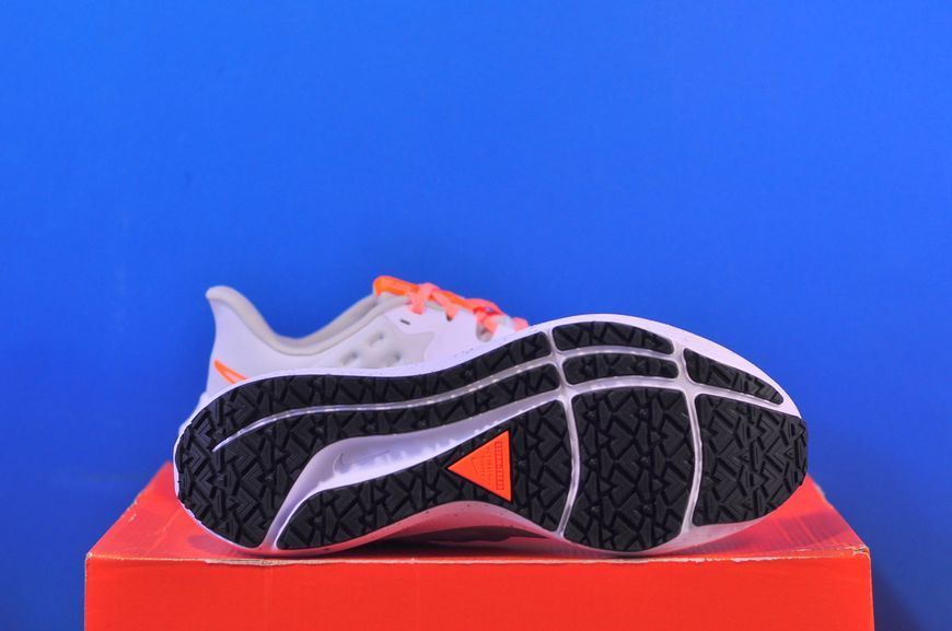 Кросівки Nike Air Zoom Pegasus 39 Shield Beige DO7626-004 DO7626-004 фото