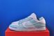 Кросівки Nike Dunk Low Twist Jade Ice DZ2794-101 DZ2794-101 фото 1