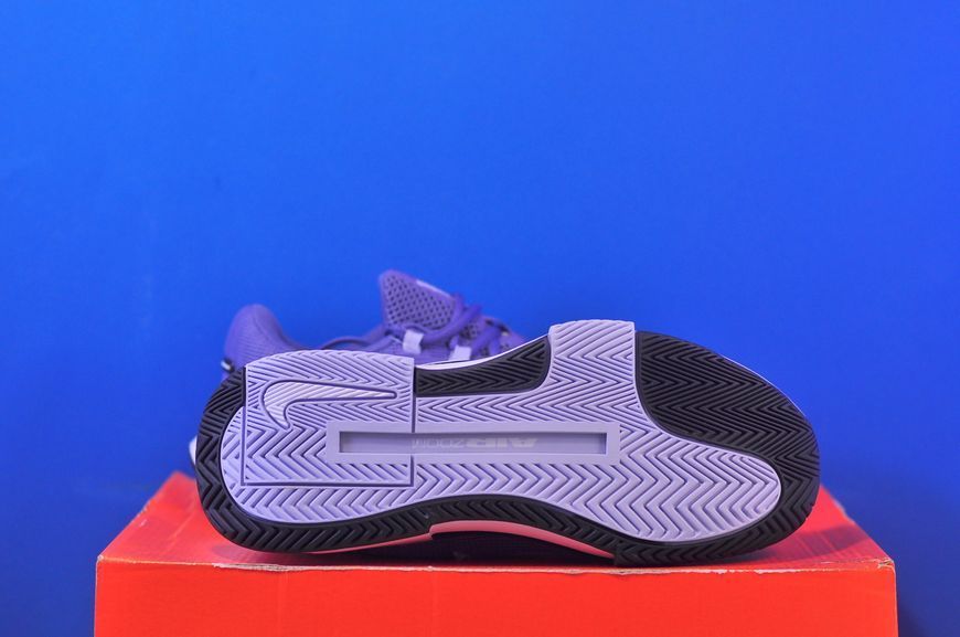 Кросівки Nike Zoom GP Challenge 1 Hard Court Tennis FB3148-401 FB3148-401 фото