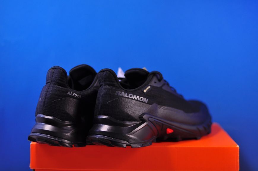 Salomon Alphacross 5 Gore-Tex 473075 473075 фото