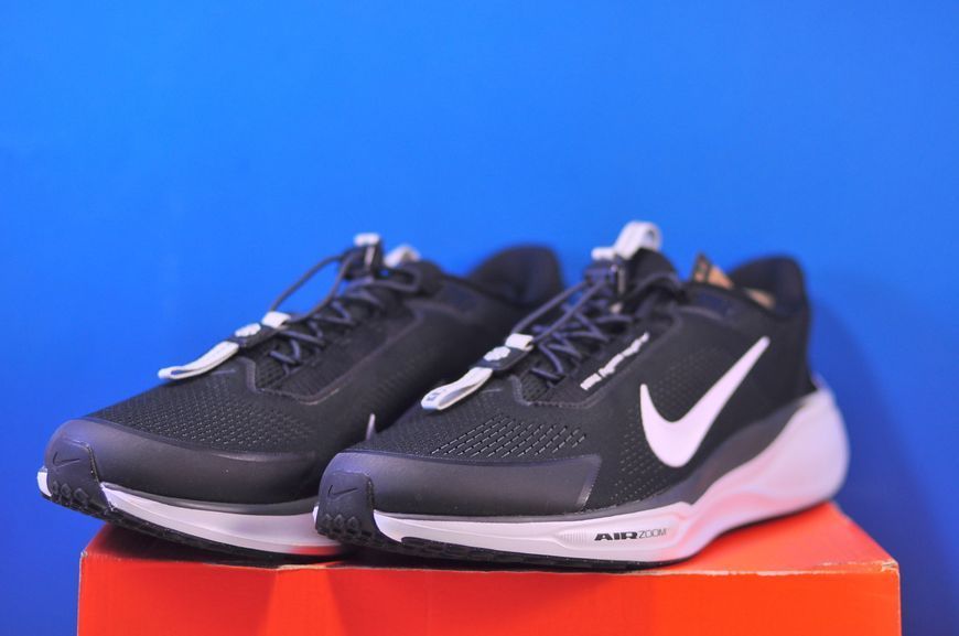 Кросівки Nike Pegasus Easyon Black FQ7837-002 FQ7837-002 фото