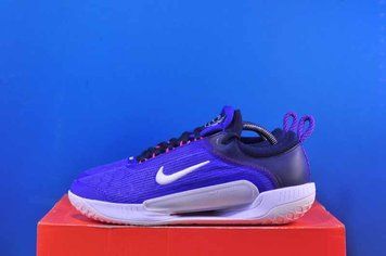Тенісні кросівки Nike Zoom Court NXT HC DH0219-400 DH0219-400 фото