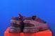 Кросівки Nike Zoom Vomero Roam Burgundy Crush HQ2181-500 HQ2181-500 фото 3