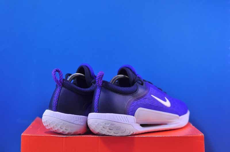 Тенісні кросівки Nike Zoom Court NXT HC DH0219-400 DH0219-400 фото