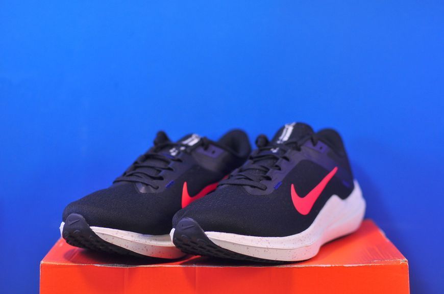 Кросівки Nike Air Winflo 10 Black DV4022-002 DV4022-002 фото