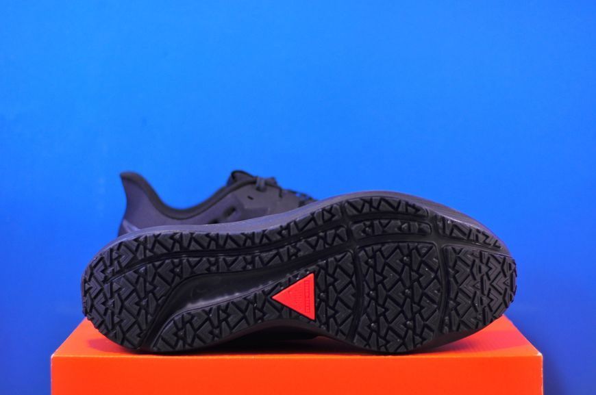 Кросівки Nike Air Zoom Pegasus 39 Shield Black DO7625-001 DO7625-001 фото