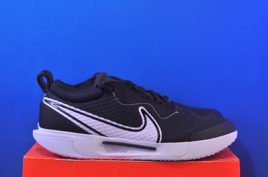 Кросівки Nike Zoom Court Pro Hc Black DH0618-010 DH0618-010 фото