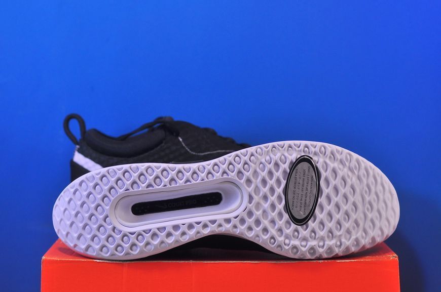 Кросівки Nike Zoom Court Pro Hc Black DH0618-010 DH0618-010 фото