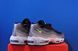 Кросівки Nike Air Max 95 Next Nature Grey/Black FN7801-001 FN7801-001 фото 4