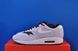 Кросівки Nike Air Max 1 Grey FD9081-001 FD9081-001 фото 1