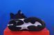 Кросівки Nike Air Jordan Max Aura 4 Black DN3687-002 DN3687-002 фото 2