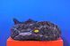 Кросівки Hoka Speedgoat 5 GTX Spike 1133550F BBLC 1133550F BBLC фото 5