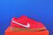 Кросівки Nike Dunk Low Sb Red FJ1674-600 FJ1674-600 фото 4
