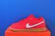Кросівки Nike Dunk Low Sb Red FJ1674-600 FJ1674-600 фото 1