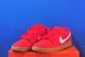 Кросівки Nike Dunk Low Sb Red FJ1674-600 FJ1674-600 фото 2