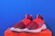 Кросівки Nike Flex Runner 3 Big FN1294-604 FN1294-604 фото 2