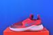 Кросівки Nike Flex Runner 3 Big FN1294-604 FN1294-604 фото 1