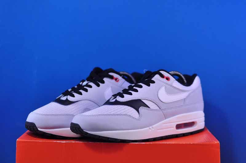 Кросівки Nike Air Max 1 Grey FD9081-001 FD9081-001 фото