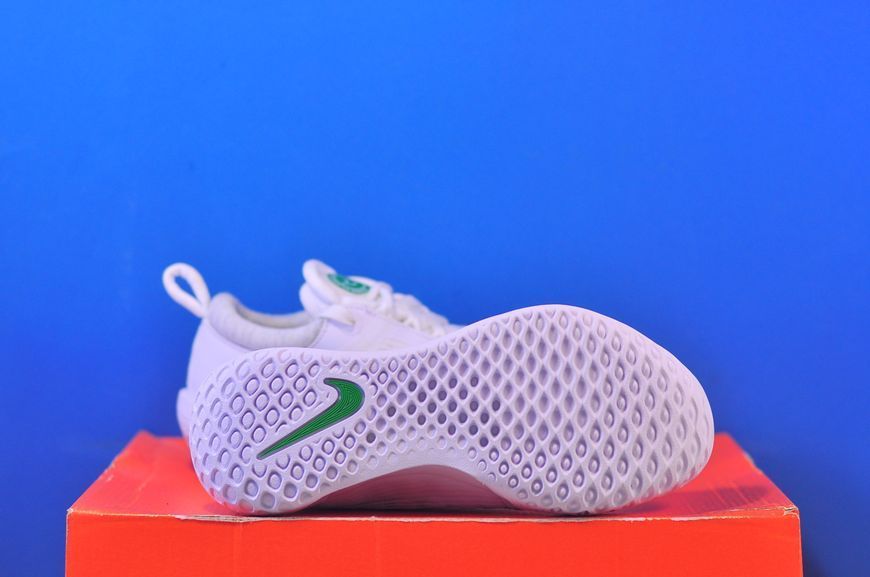 Тенісні кросівки Nike Court Zoom NXT HC DV3282-102 DV3282-102 фото