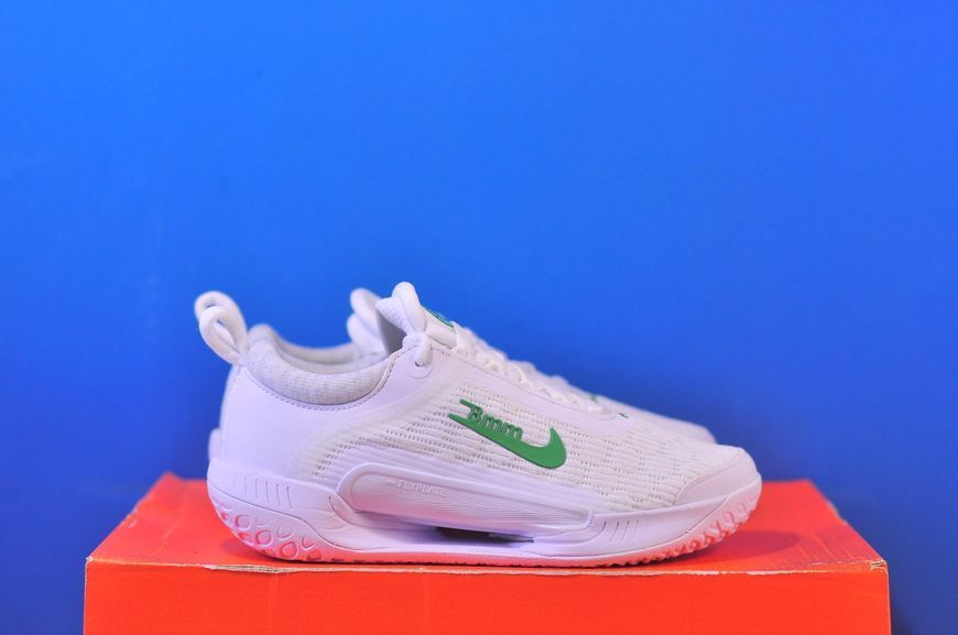 Тенісні кросівки Nike Court Zoom NXT HC DV3282-102 DV3282-102 фото