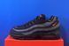 Кросівки Nike Air Max 95 Casual DX2657-001 DX2657-001 фото 1