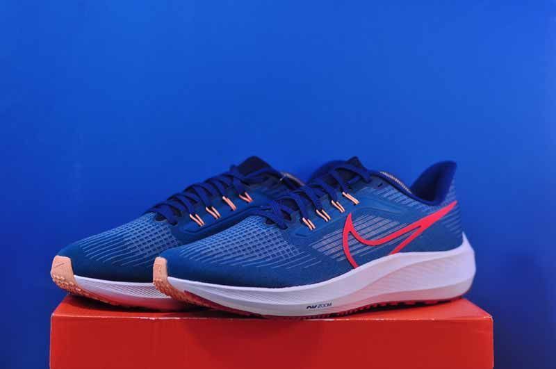 Кросівки Nike Air Zoom Pegasus 39 DH4071-302 DH4071-302 фото