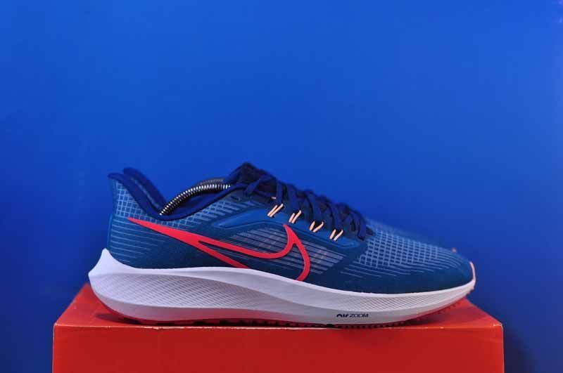 Кросівки Nike Air Zoom Pegasus 39 DH4071-302 DH4071-302 фото
