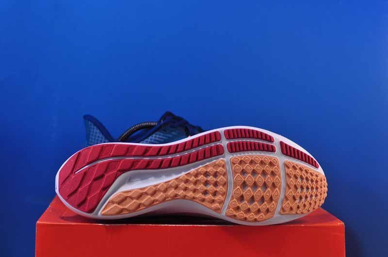 Кросівки Nike Air Zoom Pegasus 39 DH4071-302 DH4071-302 фото