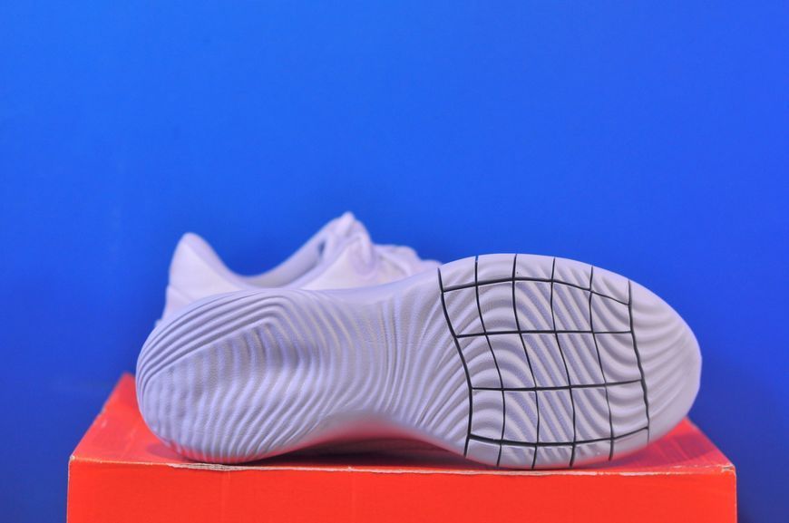 Кросівки Nike Flex Experience Run 11 DD9283-100 DD9283-100 фото
