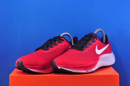 Кросівки Nike Air Zoom Pegasus 37