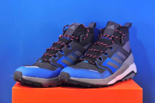 Кросівки Adidas Terrex Trailmaker Mid Gtx M