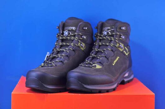 Кросівки Lowa Lady Light GTX