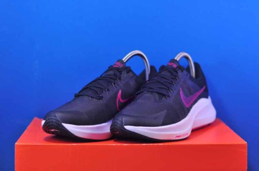 Кросовки Nike Winflo 8