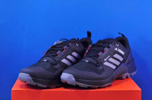 Кросовки Adidas Terrex Swift R3 GTX