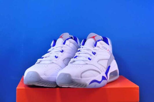 Nike Air Jordan Point Lane