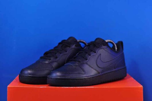 Nike Court Borough Low 2