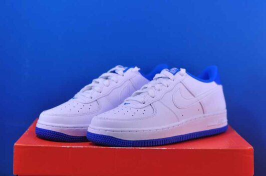 Nike Air Force 1 DV1331-101