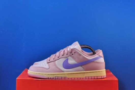 Nike Dunk Low Pink Oxford DD1503-601