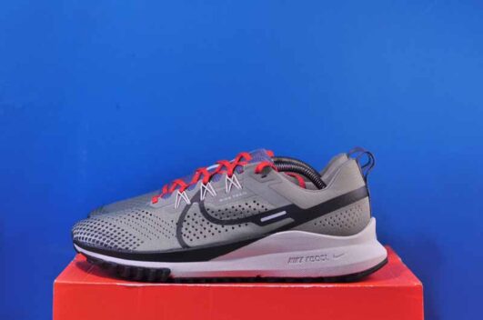 Nike Pegasus Trail 4 DJ6158-007