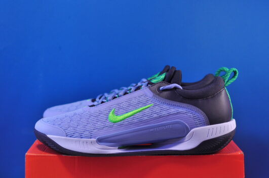 Nike Zoom Court NXT Clay DV3270-400